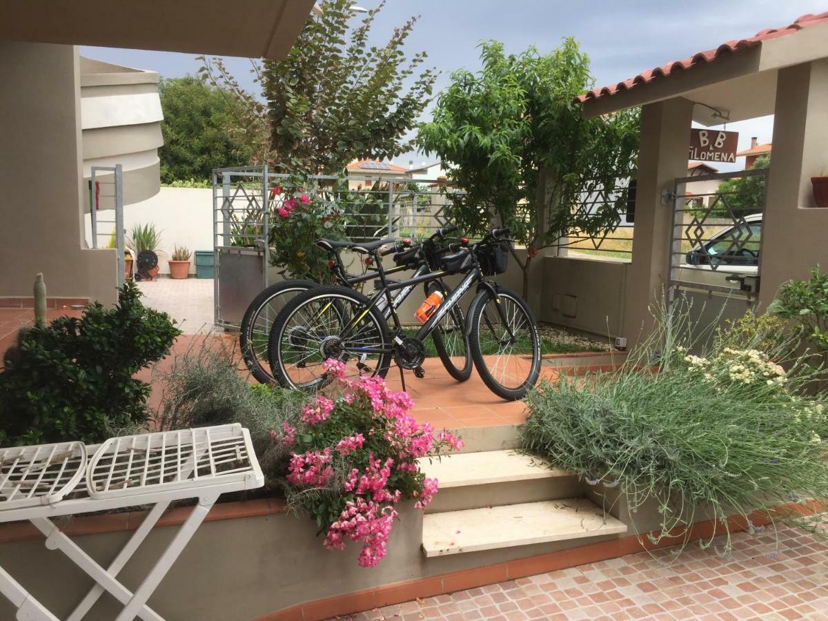 B&B Filomena Santa Giusta Dış mekan fotoğraf